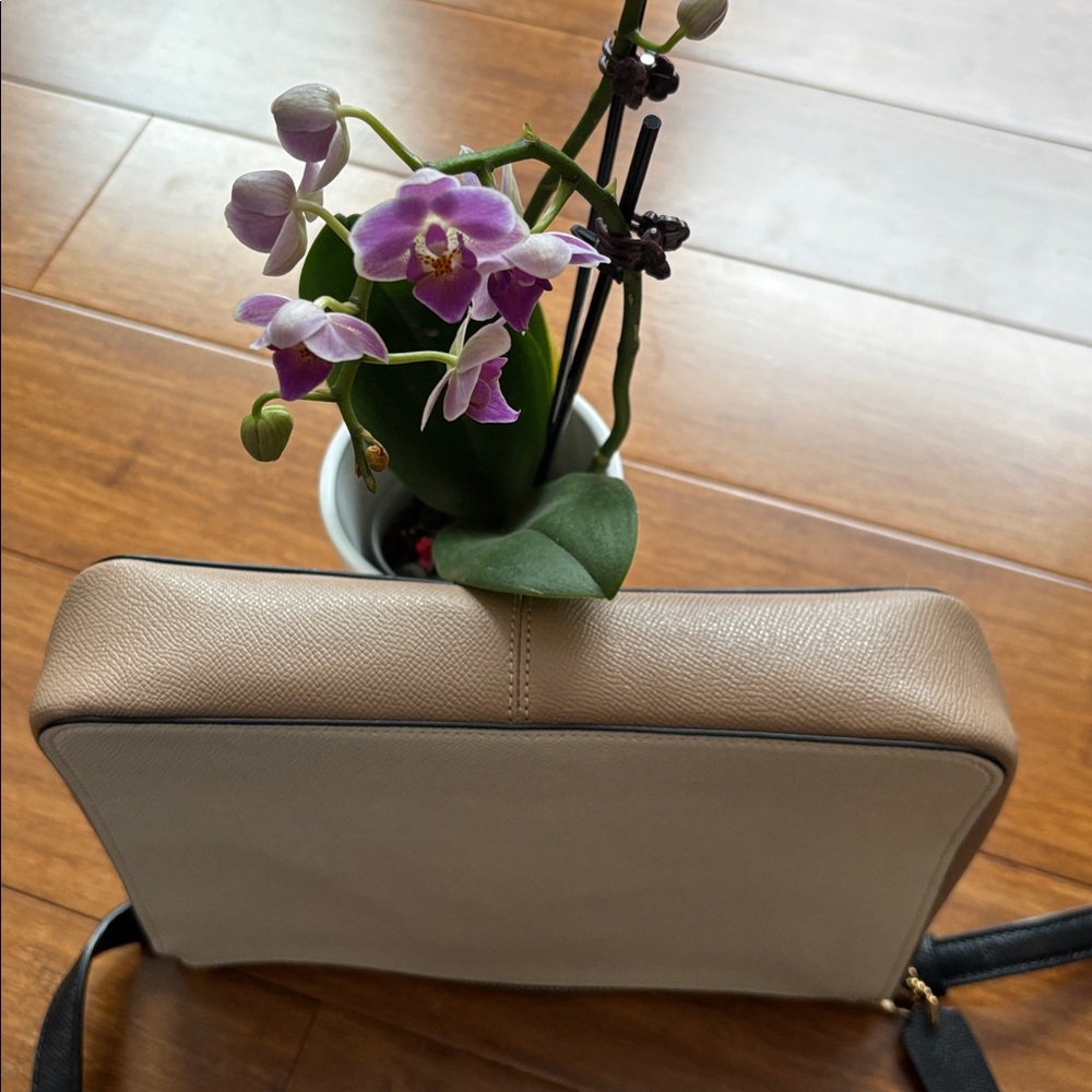 Coach Crossbody Bag in Cream and Black - Picture 5 of 7